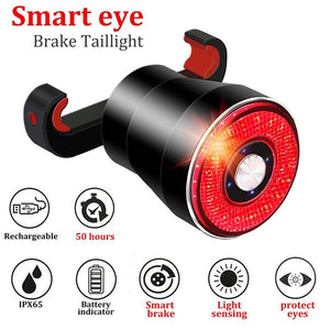Smart Bike Light Brake induction Bicycle Back Lights USB Charging 22 COBLED 3Mode Rainproof Tail light Mtb Mountain Cycle light